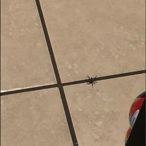 Meet your Posher, Leslie